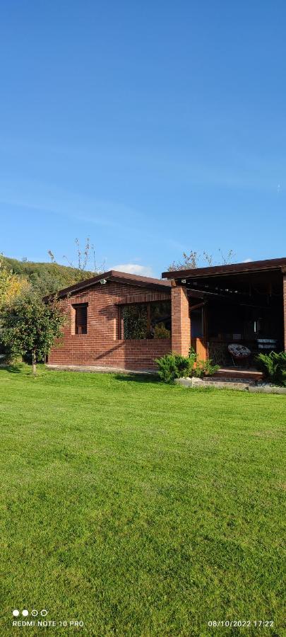 View Cozia Vila Călimăneşti Exterior foto